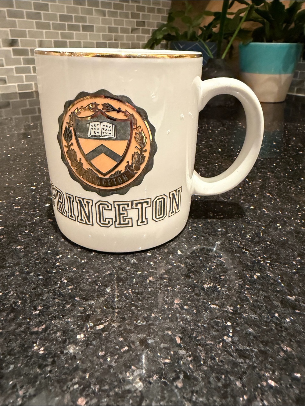 Vintage Princeton Univrrsity Coffee Mug